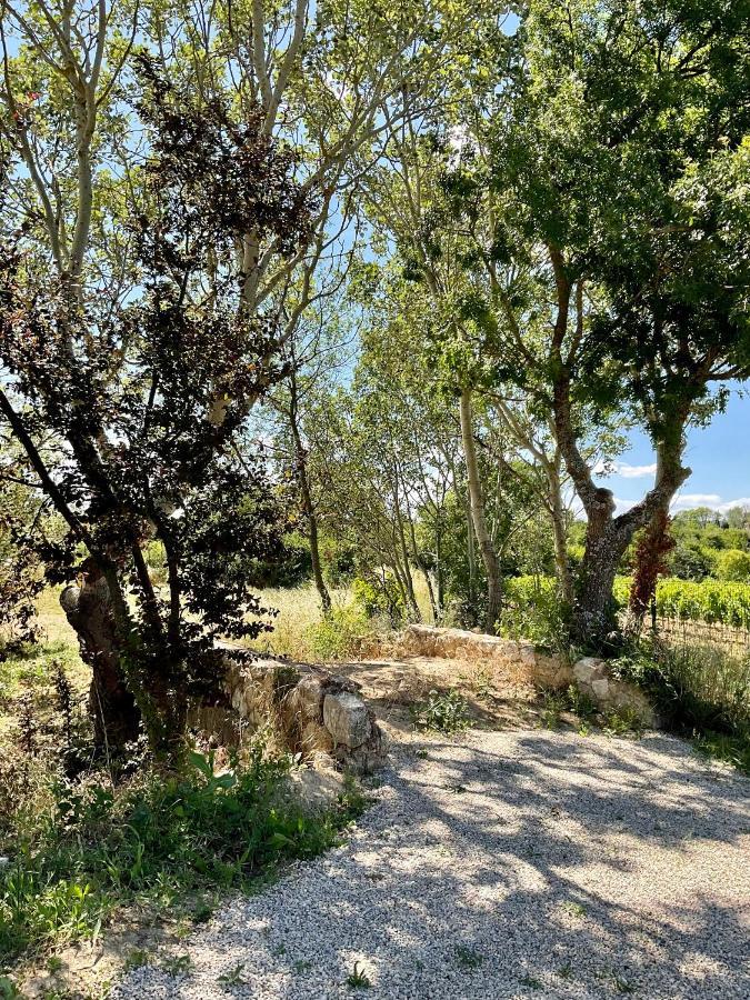 La Soleillade Aixoise Bed & Breakfast Aix-en-Provence Eksteriør bilde